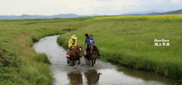 丰宁坝上景点图片