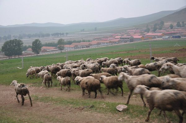 丰宁坝上旅游攻略图片