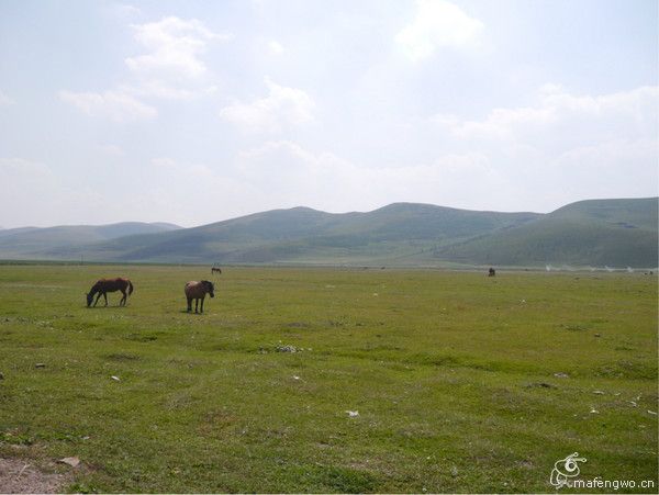 丰宁坝上自助游图片