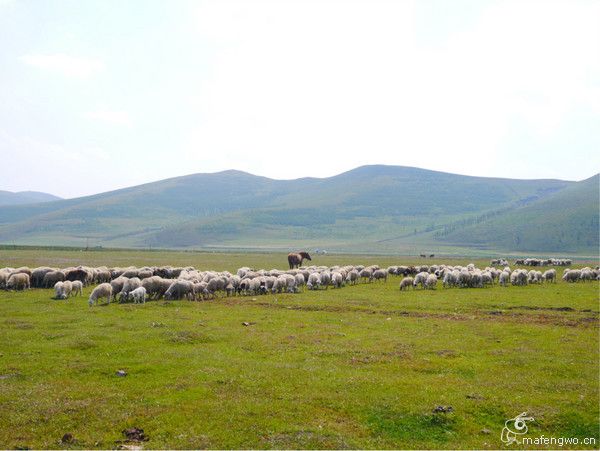 丰宁坝上旅游攻略图片