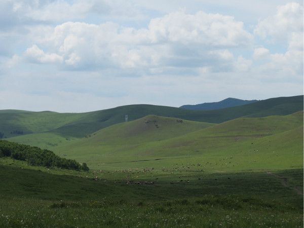 丰宁坝上旅游攻略图片