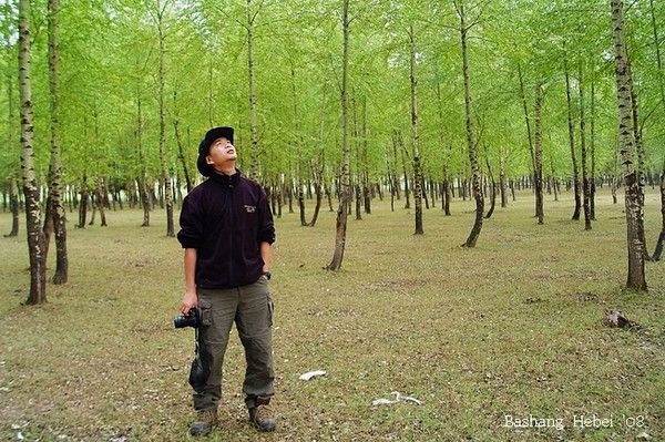 丰宁坝上景点图片