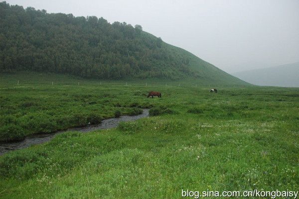 丰宁坝上旅游攻略图片