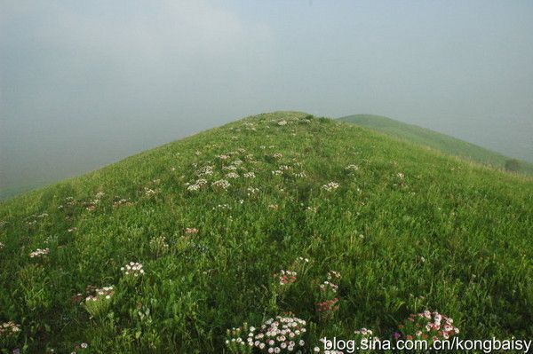 丰宁坝上景点图片