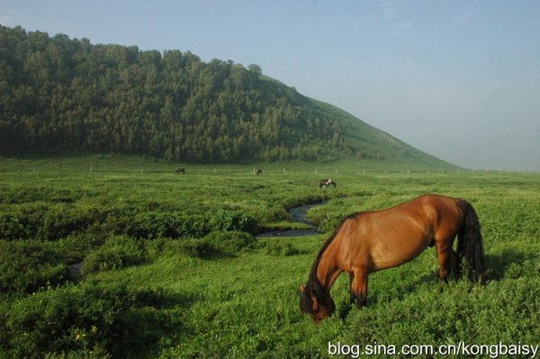 丰宁坝上旅游攻略图片