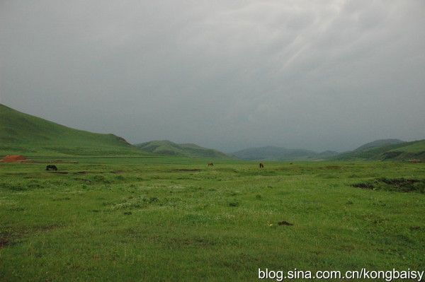 丰宁坝上旅游攻略图片