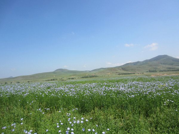 丰宁坝上旅游攻略图片