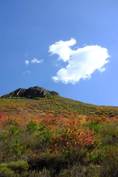 丰宁坝上图片