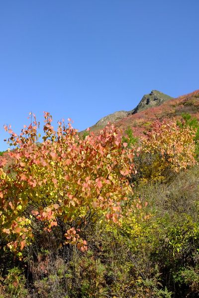 丰宁坝上景点图片