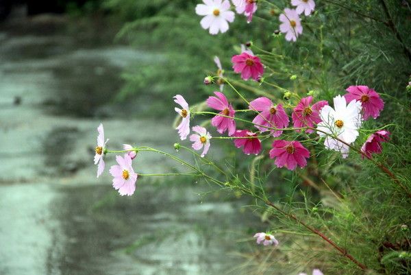 2011.9月初河北丰宁坝上之旅