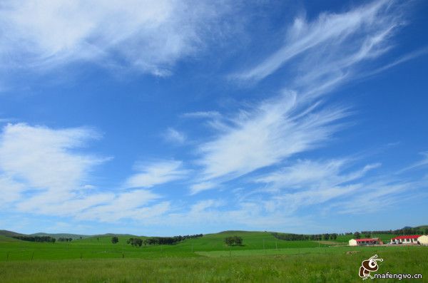 7月 丰宁坝上草原 2013年憋屈太久的旅行