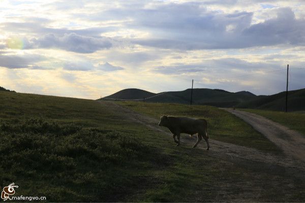 丰宁坝上旅游攻略图片