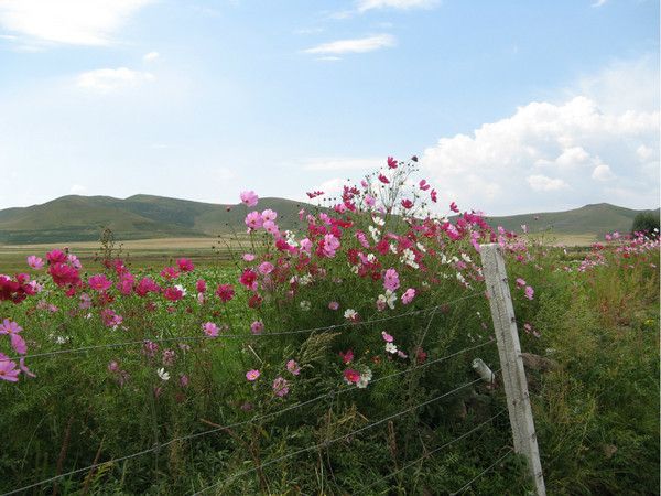 丰宁坝上旅游攻略图片