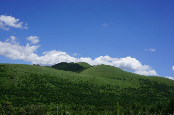 丰宁坝上自助游图片