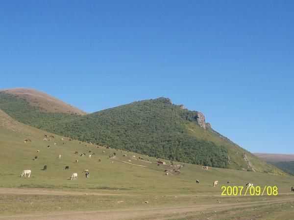 丰宁坝上旅游攻略图片