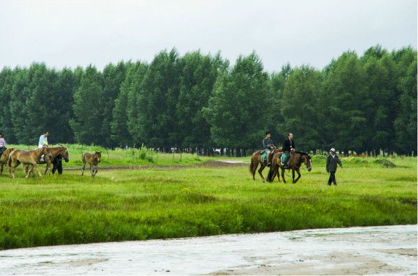 丰宁坝上图片