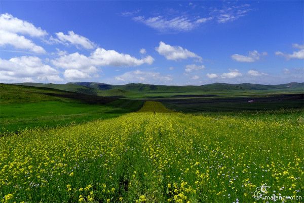 丰宁坝上景点图片