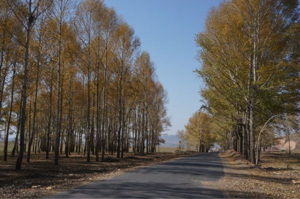 丰宁坝上景点图片