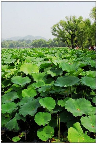 丰宁坝上景点图片