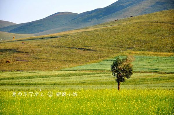 丰宁坝上自助游图片