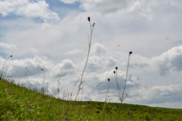 丰宁坝上景点图片