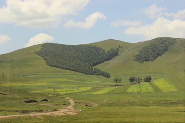 丰宁坝上景点图片