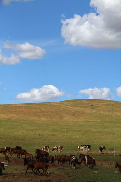 锡林郭勒景点图片