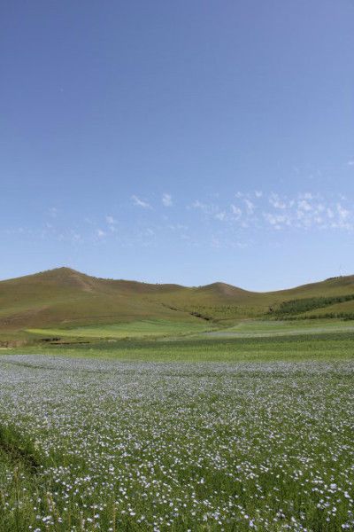 丰宁坝上旅游攻略图片