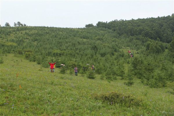 丰宁坝上旅游攻略图片