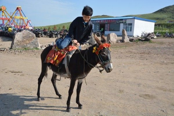 丰宁坝上旅游攻略图片