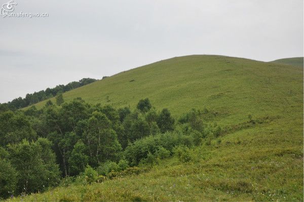 丰宁坝上图片