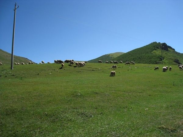 丰宁坝上图片