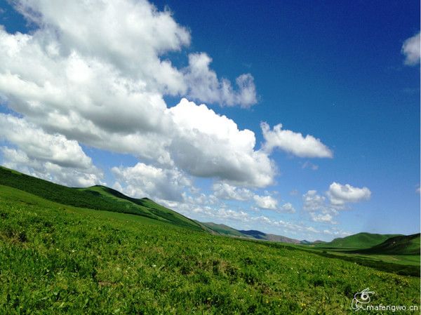 丰宁坝上自助游图片