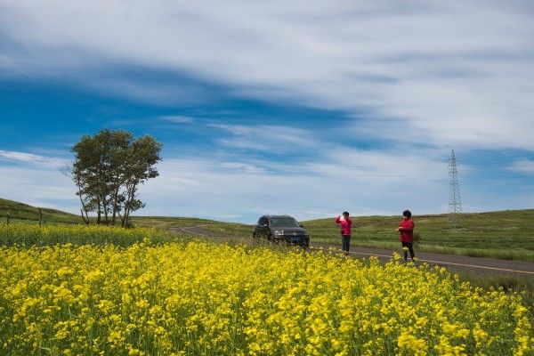 丰宁坝上旅游攻略图片