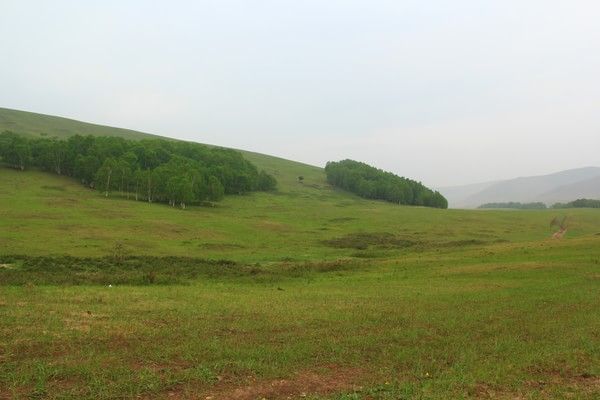 6月丰宁坝上草原之行