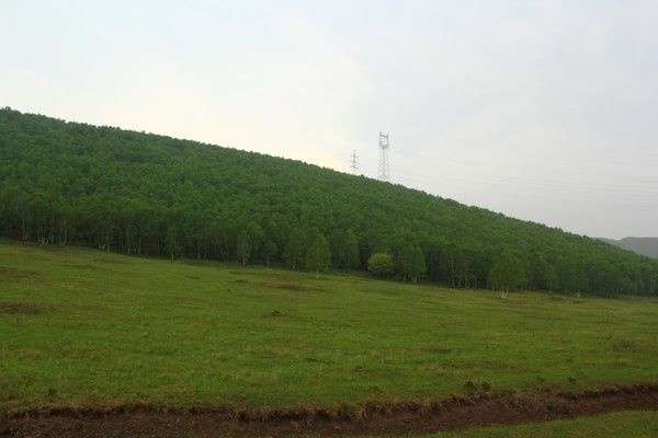 6月丰宁坝上草原之行