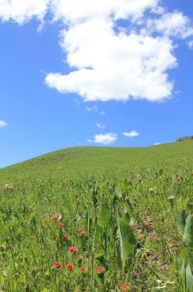 端午穿越丰宁坝上草原 冰山梁 老掌沟 传奇庄园