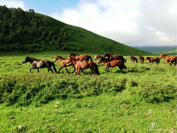 居庸关长城 张家口 草原天路 滦河神韵 坝上行