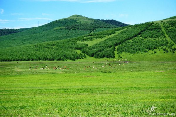 居庸关长城 张家口 草原天路 滦河神韵 坝上行