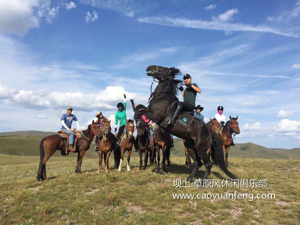  Horse riding on grassland _ horse riding precautions _ horse riding price on Bashang _ horse riding photos _ horse riding teaching video